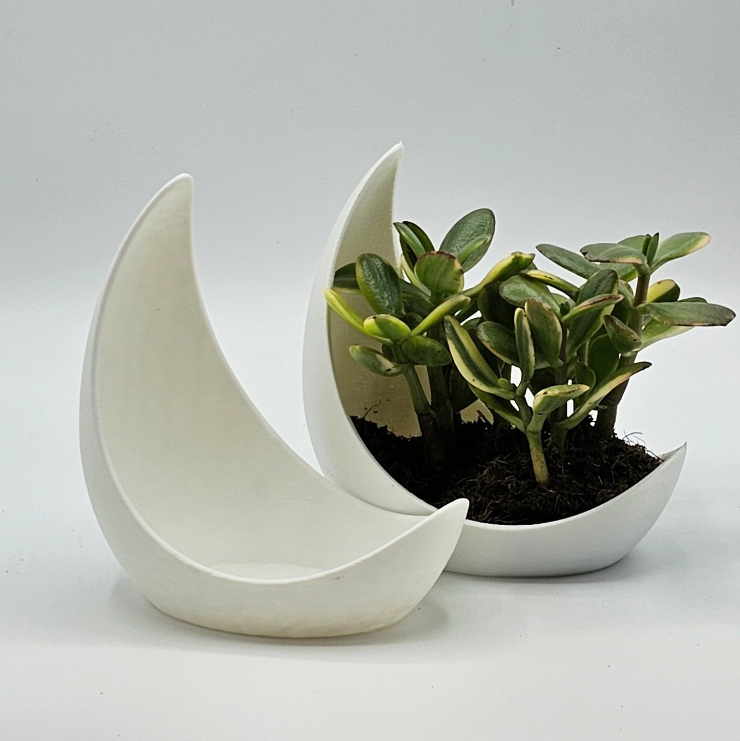 La Luna Crescent Moon Planter, Pearl