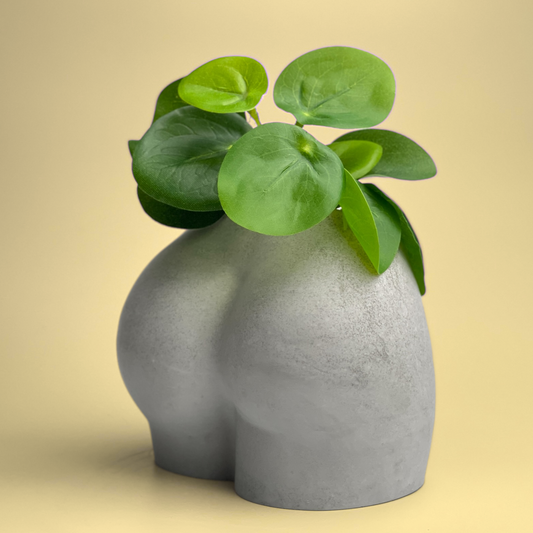 Image of a planter that is shaped like a nude woman's butt. The backside is not visible in the image however it is shaped like the hips and thighs. Decorative plant in pot for demonstration.