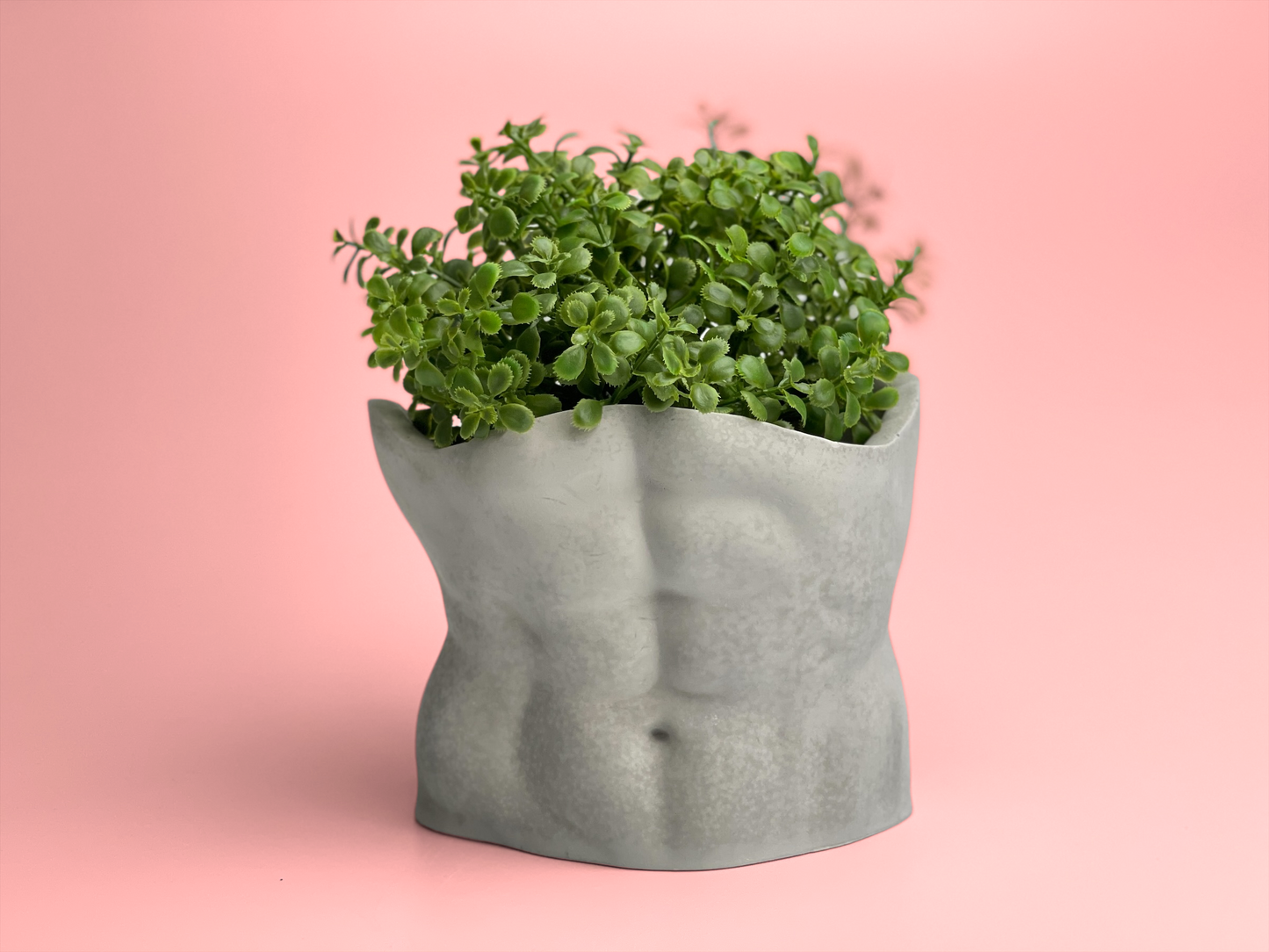 Image of planter that is shaped like the nude torso of a man. the backside is not visible in the image however it is shaped like the butt. Decorative plant in pot for demonstration.